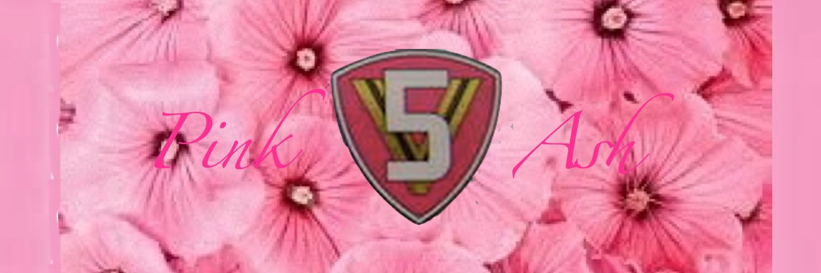 Pink5Ash's profile banner image