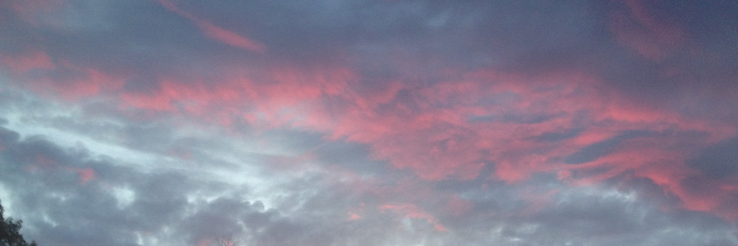 Meggg444's profile banner image