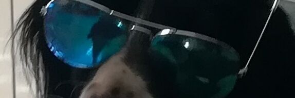 RobertaZeppieri's profile banner image