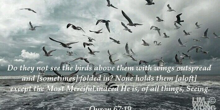 Qawdhan's profile banner image