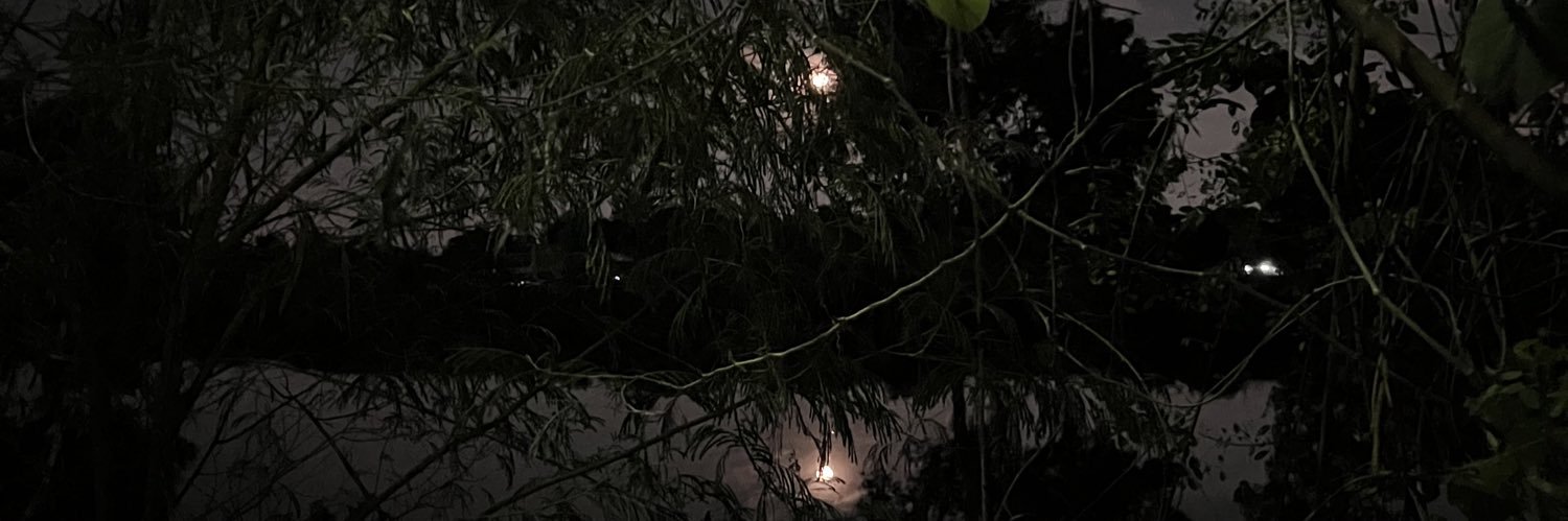 MeanPhoon's profile banner image