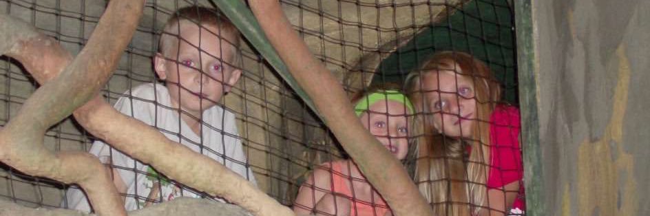 🏁🏎️The Formula 1 Menace🏎️🏁 banner