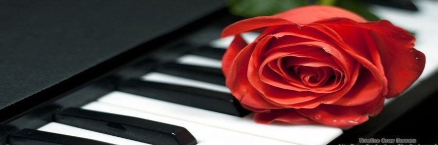 Sammdube's profile banner image