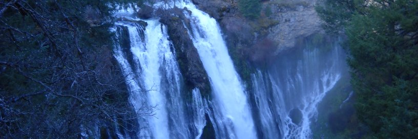 javadavis1's profile banner image