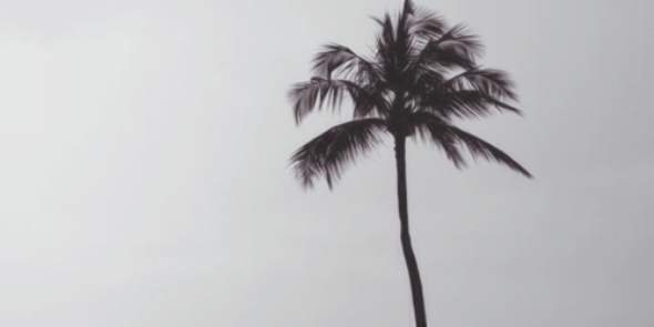 jdrewbiebergdr's profile banner image