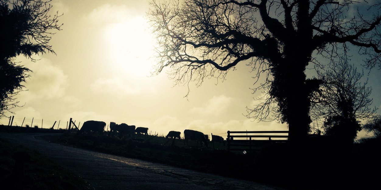 GraceKempthorne's profile banner image