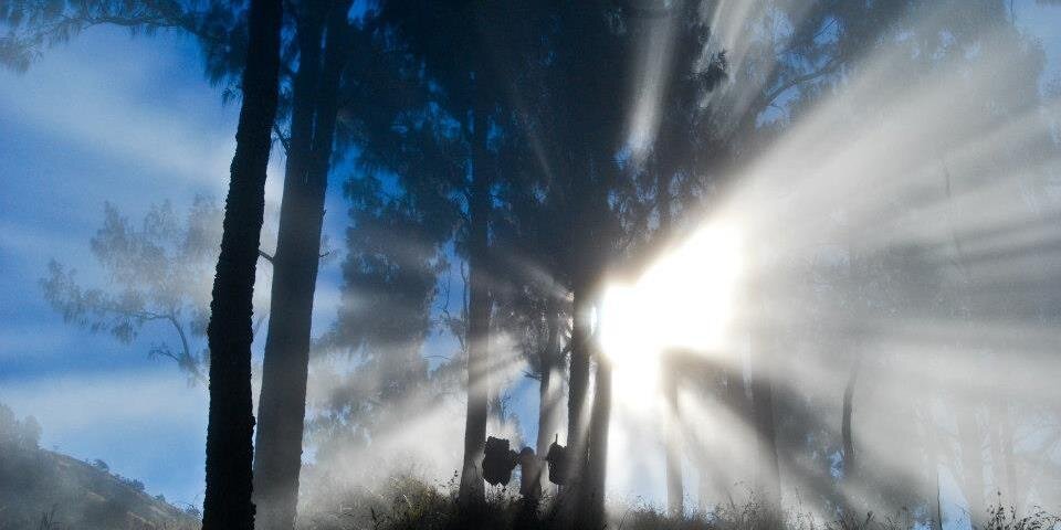 Jackson Ewing banner