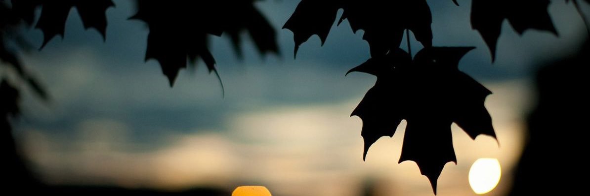 𝘙𝘶𝘣𝘦𝘴 𝘹𝘹 banner