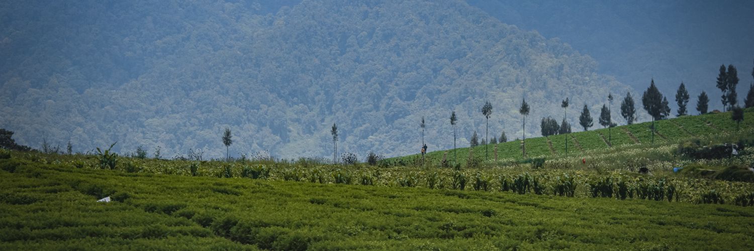 VickyFirm's profile banner image