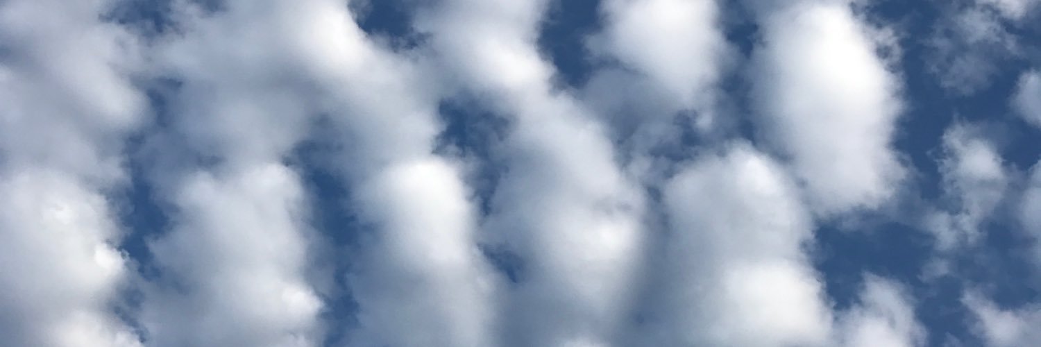 Angiiav's profile banner image