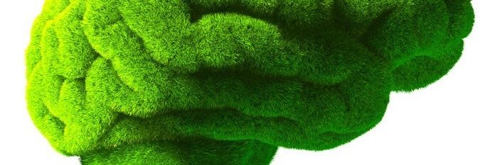 parthcmodi's profile banner image