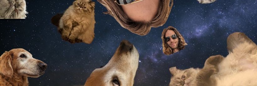 Brandon Bem banner