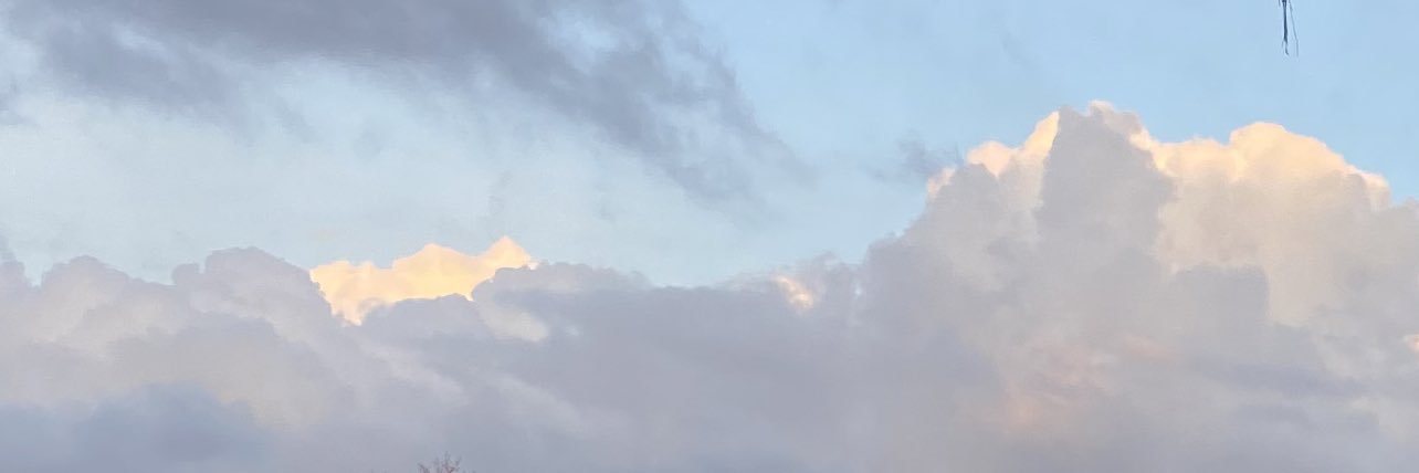 brndonewy's profile banner image