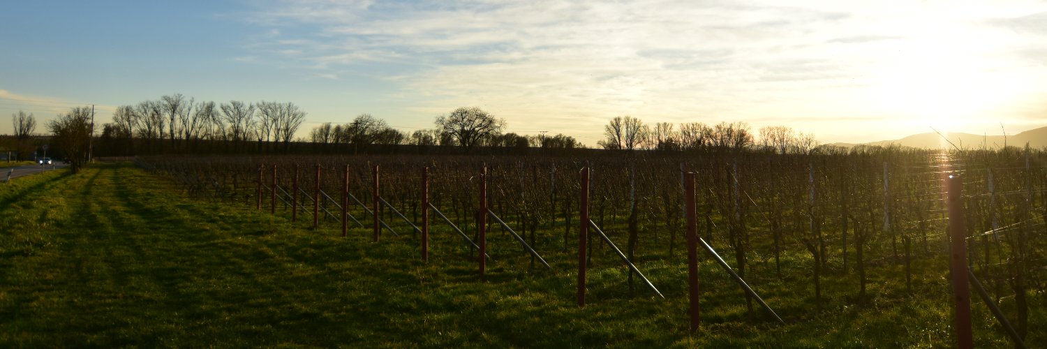 RolandGruner's profile banner image
