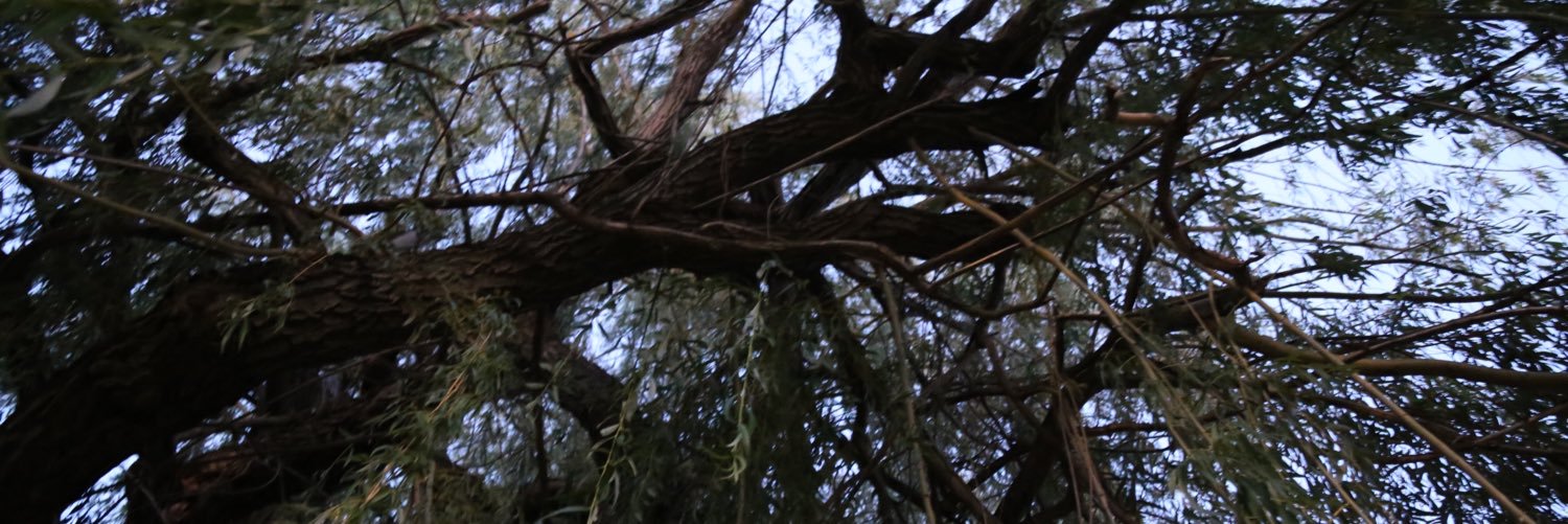 KateelBrown's profile banner image