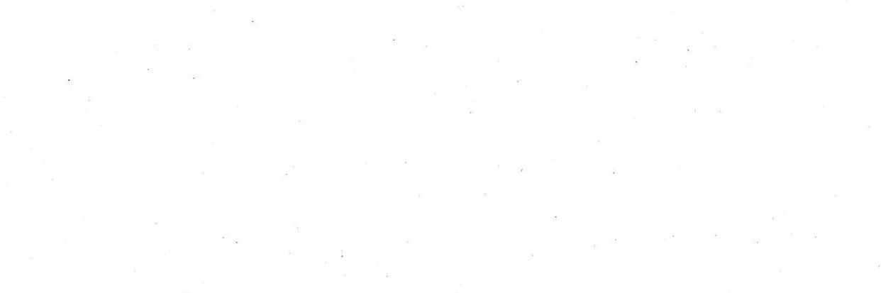 BaileyFlowers4's profile banner image