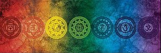 seraleeann_'s profile banner image