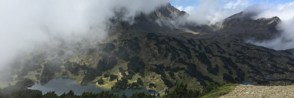 loqualo's profile banner image