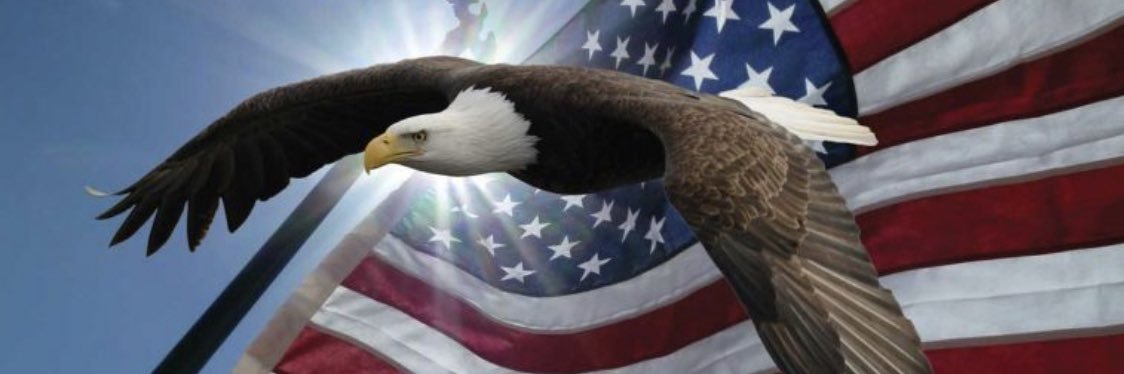 FLBillsFan76's profile banner image