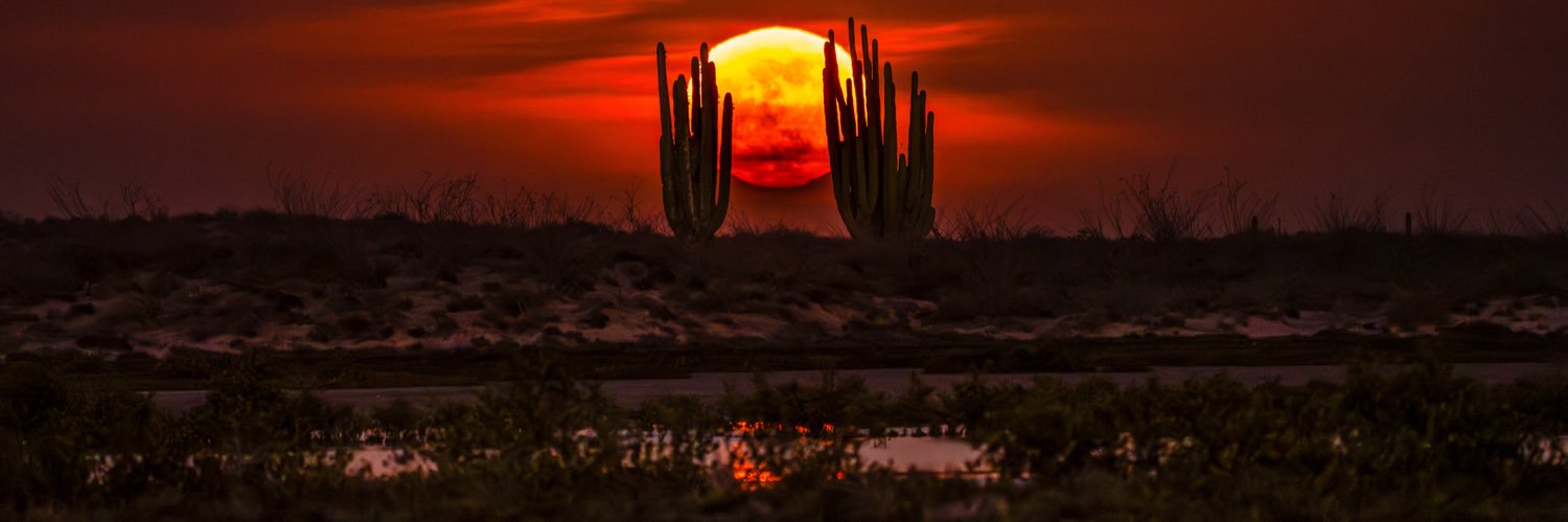 Gerardo L Gerardo-Fotografia's banner