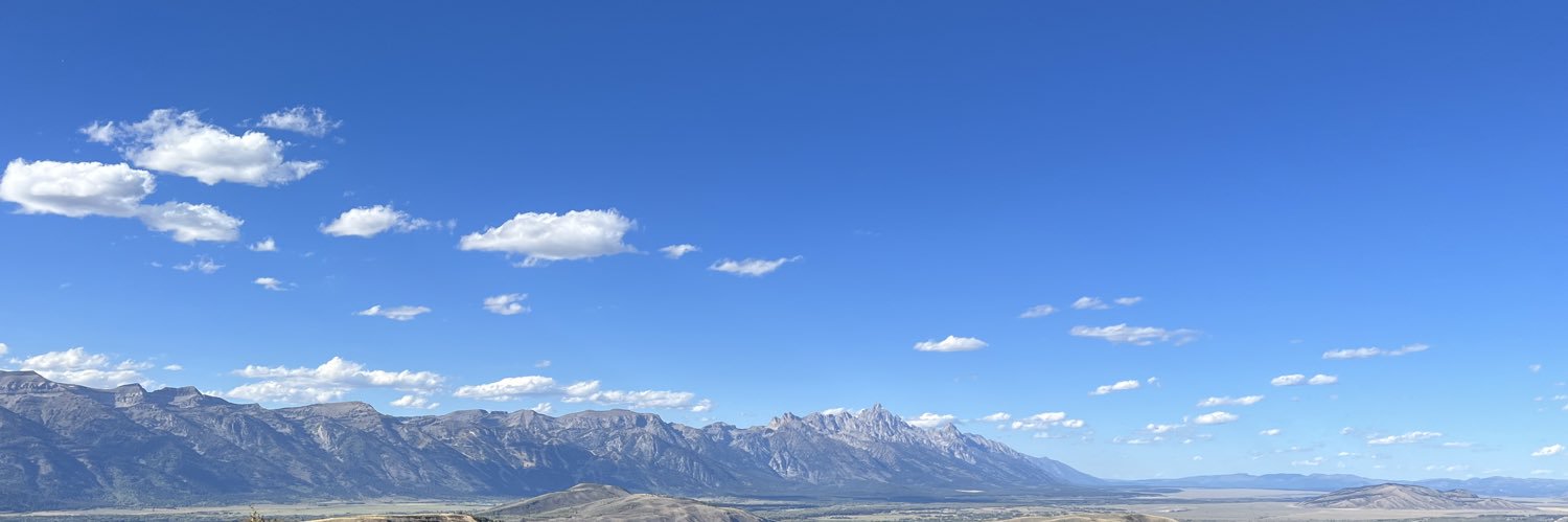 Bartu Hallı banner