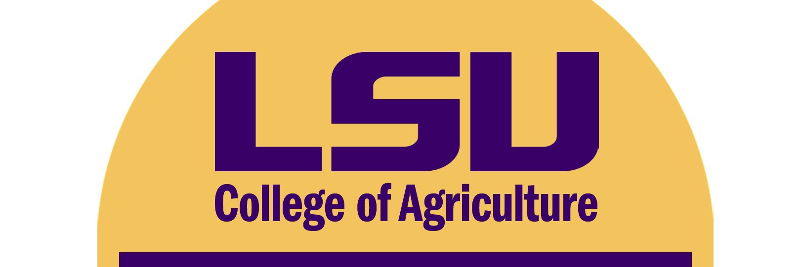 AmandaLeeLSU's profile banner image