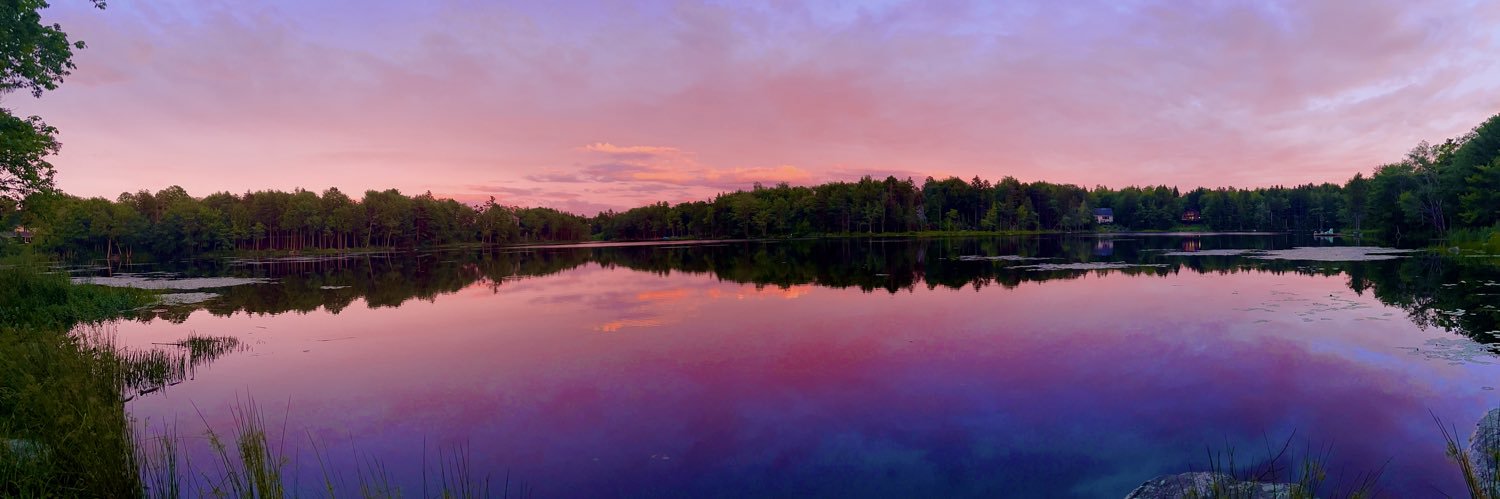 Brittenay Dana banner