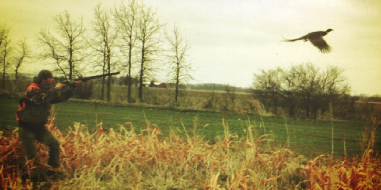 Cherrybend Pheasant banner