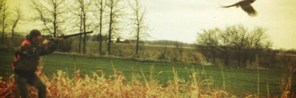 Cherrybend Profile Banner