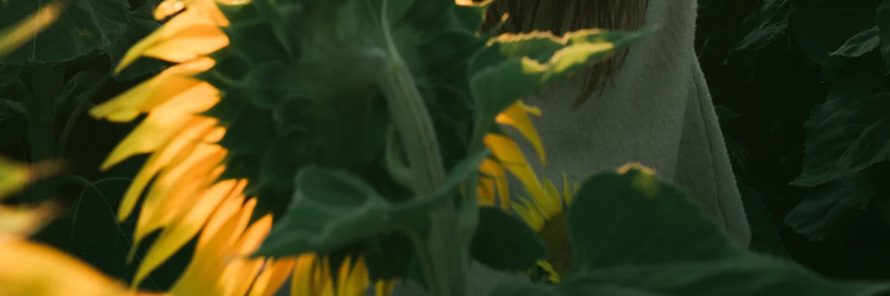 spinigonzales's profile banner image