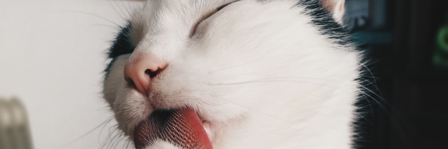 mirivmglez's profile banner image
