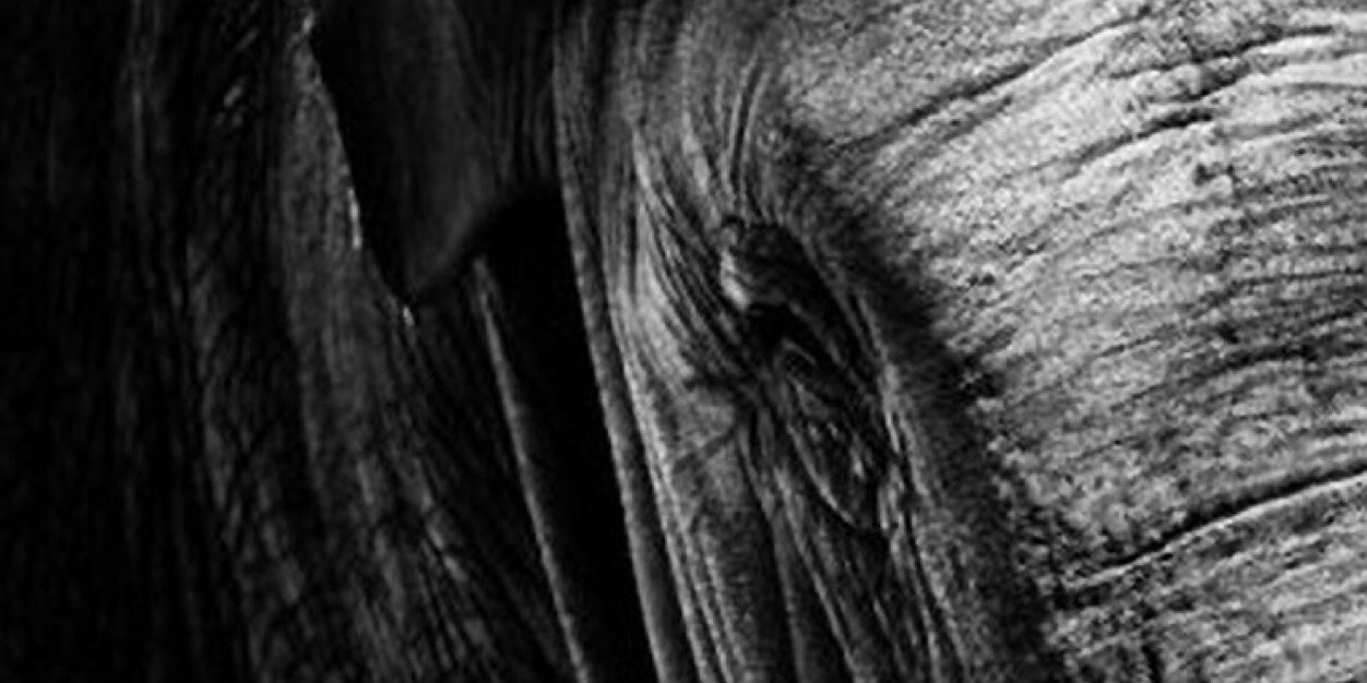 MTsend's profile banner image