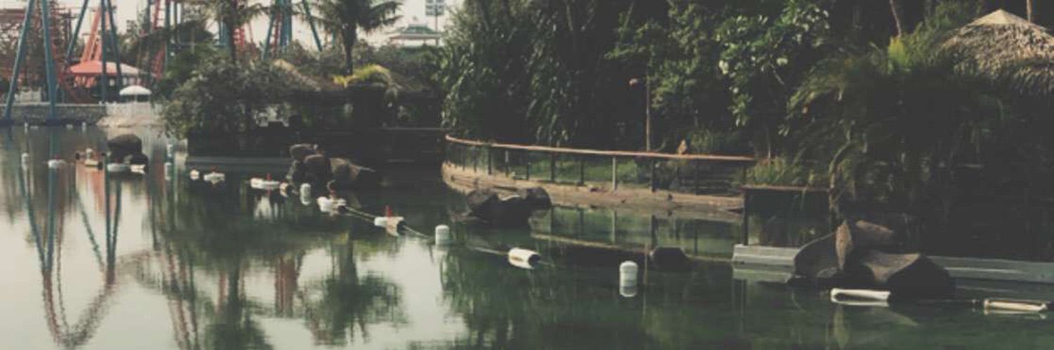 Elham🧡🙇🏽‍♀️🕊 banner