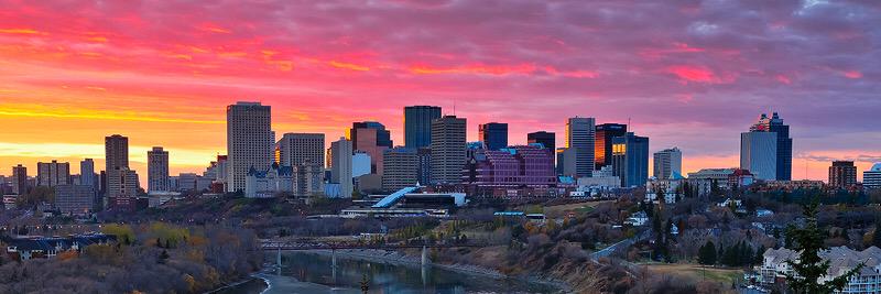 Robbie The Intern banner
