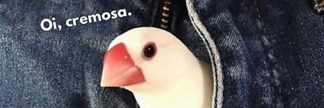 Littleredlace's profile banner image