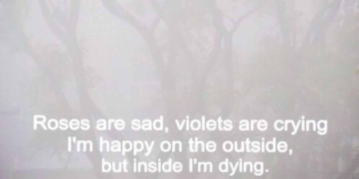 ashtonlongdr's profile banner image