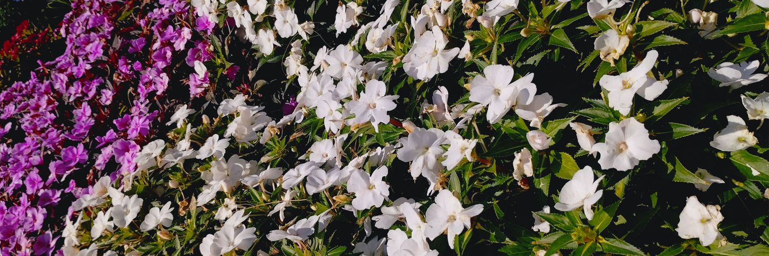 mbarb__'s profile banner image