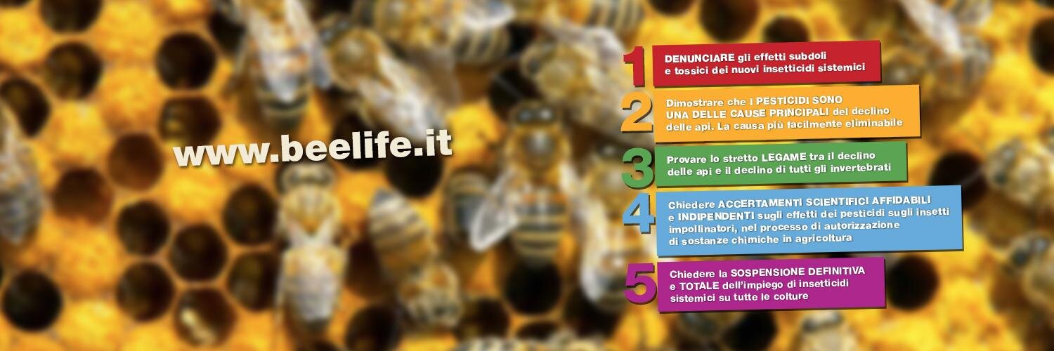 beegeneration_'s profile banner image