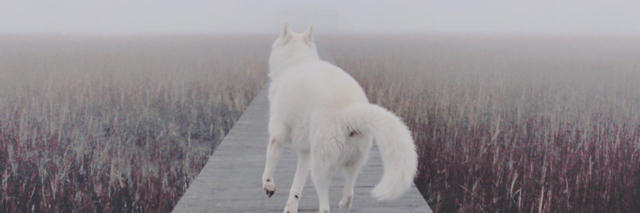 save banner