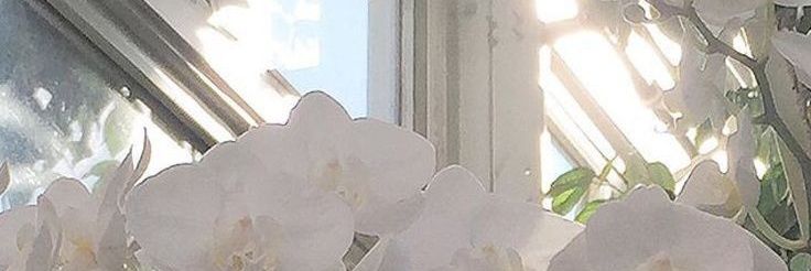 podiiumn's profile banner image