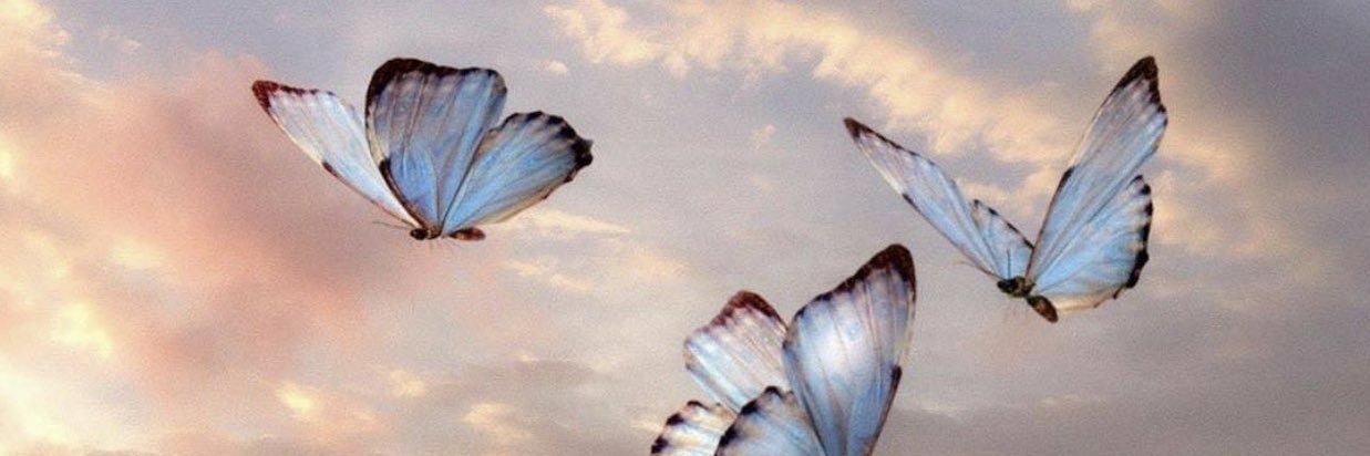 ddaniela's profile banner image
