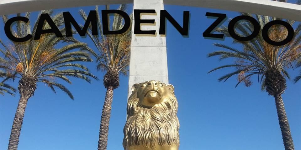 CamdenZoo's profile banner image