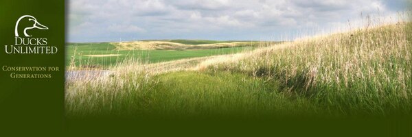 mdubnik Profile Banner