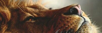 Chernikov_AA's profile banner image