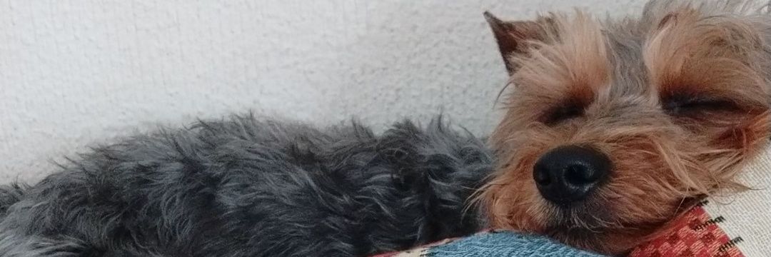 Estherdg_'s profile banner image