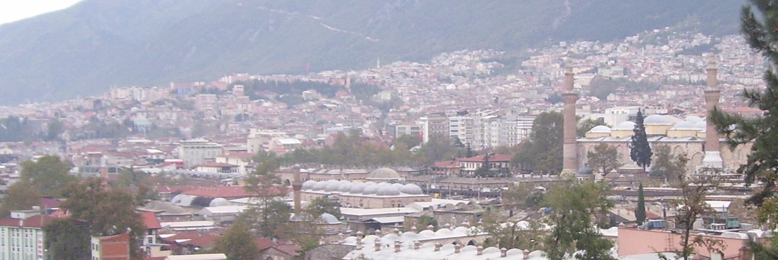 Hayatalemi's profile banner image