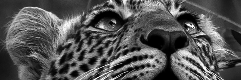 AFrancillette's profile banner image