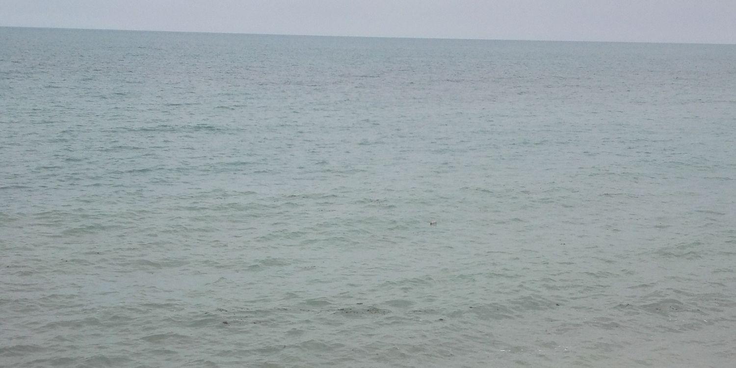 MahaSharaa's profile banner image