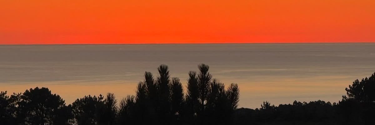 oatginger's profile banner image