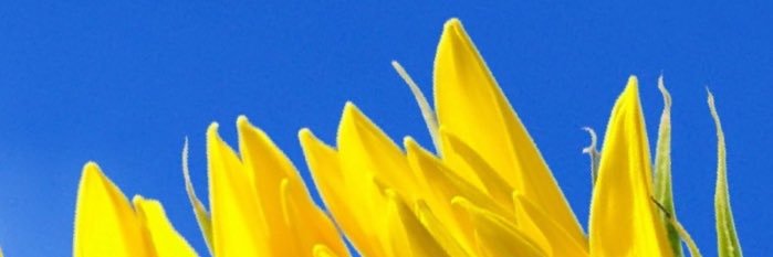 alexsinger2008's profile banner image
